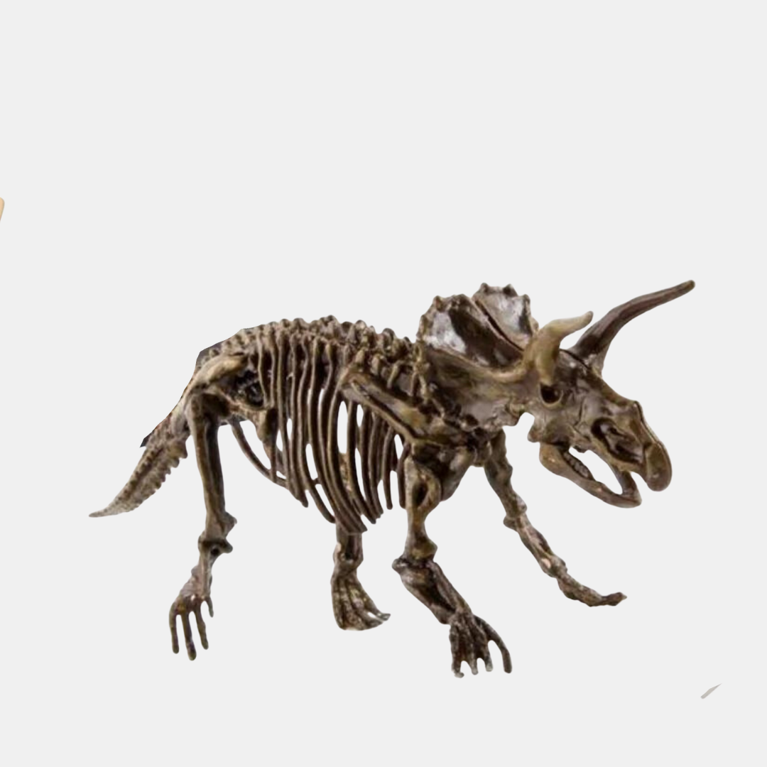 DinoDig Sæt – Dinosaur Udgravningssæt | Grav, Oplev & Lær på Sjov Vis
