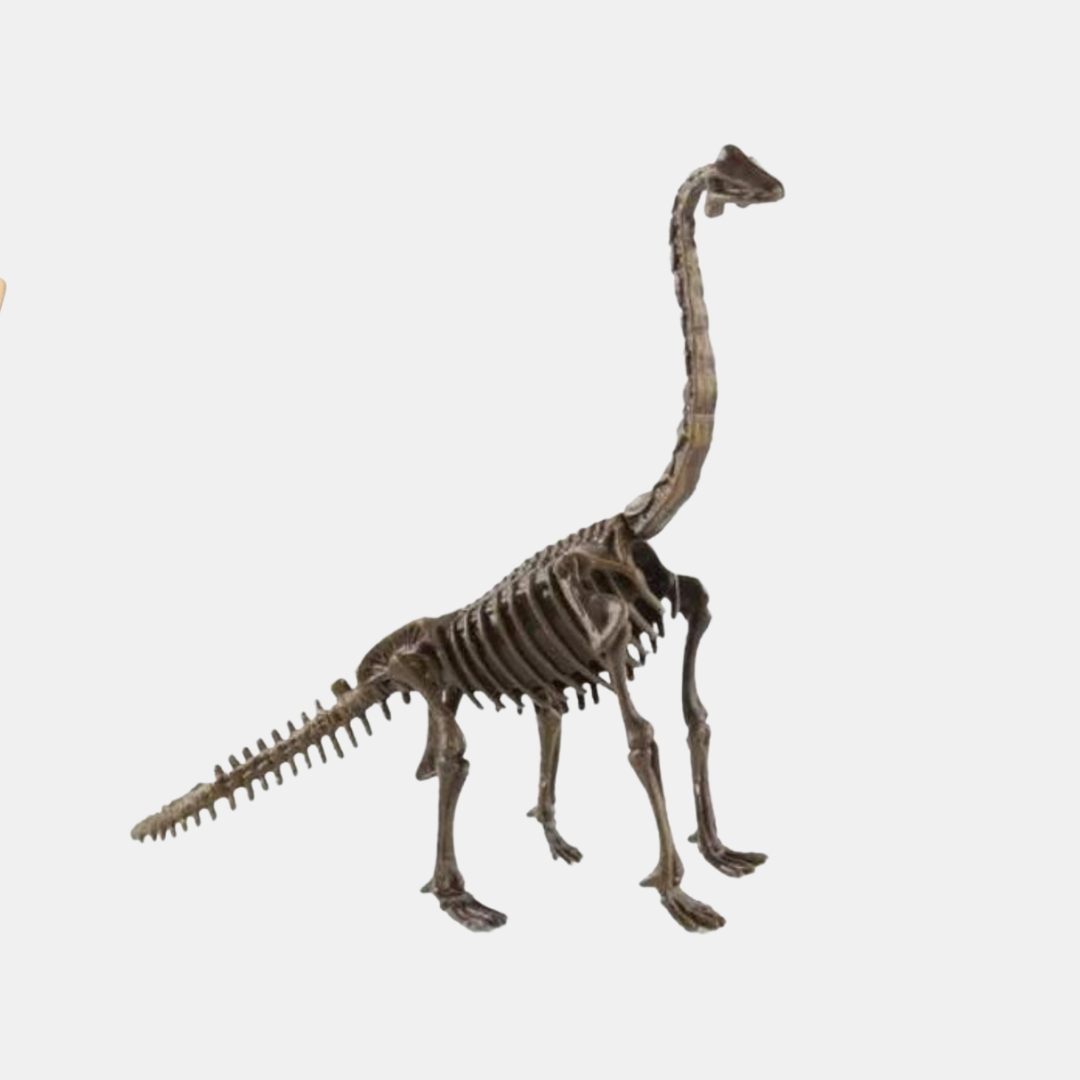 DinoDig Sæt – Dinosaur Udgravningssæt | Grav, Oplev & Lær på Sjov Vis