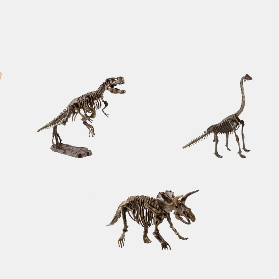 DinoDig Sæt – Dinosaur Udgravningssæt | Grav, Oplev & Lær på Sjov Vis