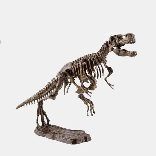 DinoDig Sæt – Dinosaur Udgravningssæt | Grav, Oplev & Lær på Sjov Vis